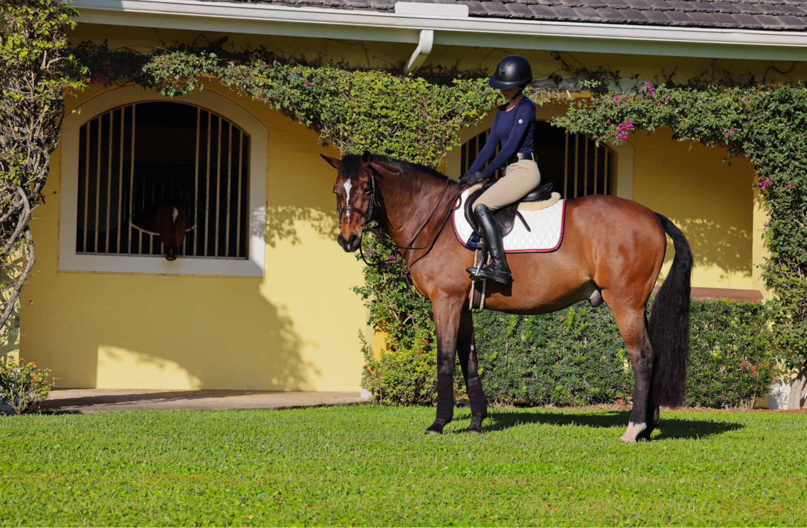 Saddle Pad | White - Riders Choice Supply Co