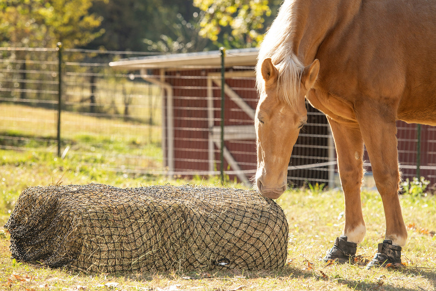 3 String Square Bale Hay Net - Riders Choice Supply Co