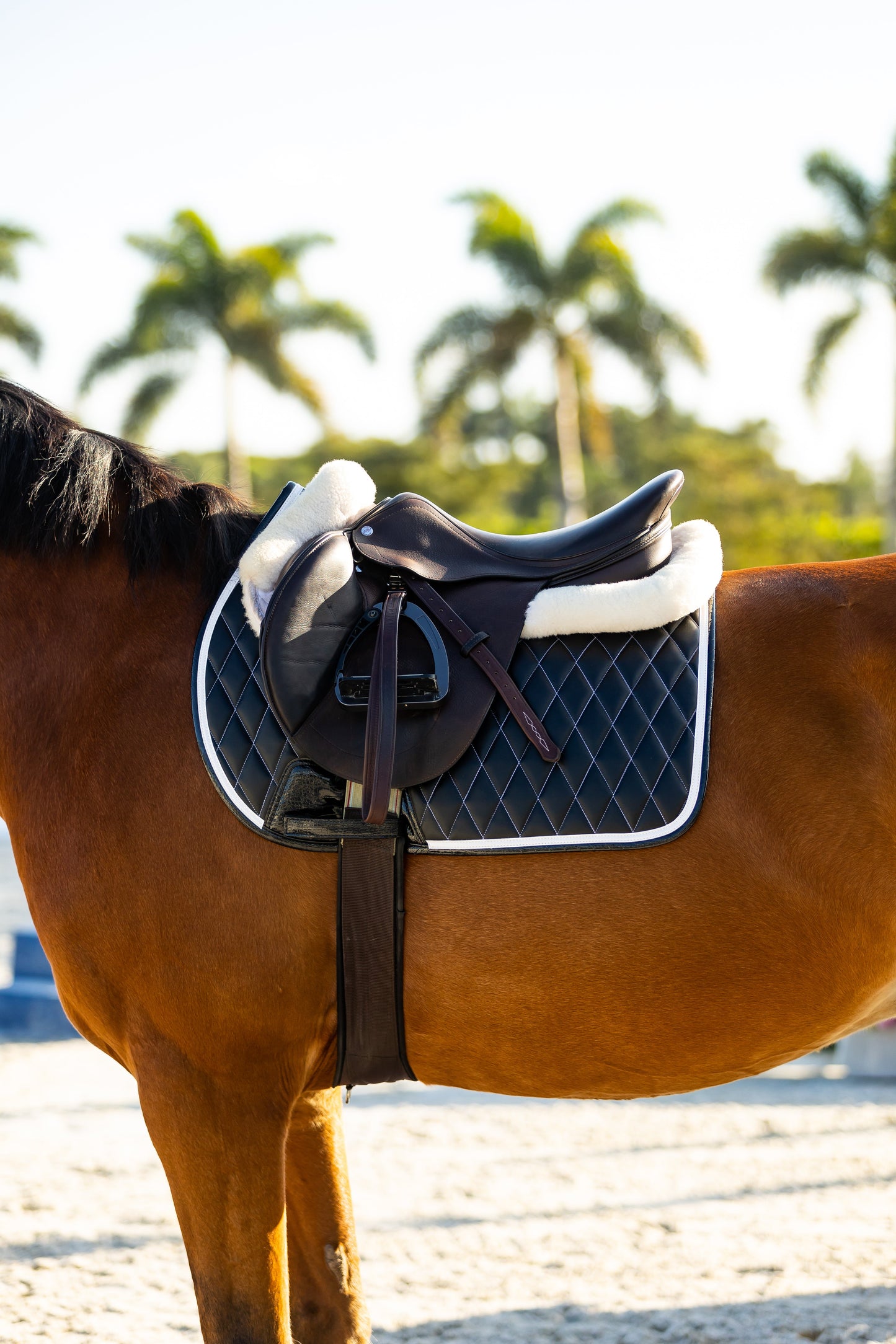 Saddle Pad | Black - Riders Choice Supply Co
