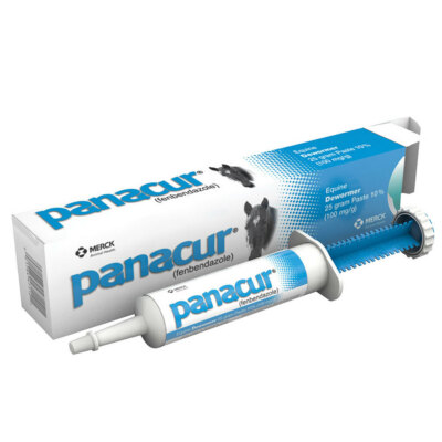 MERIAL Panacur Equine Paste 10% Wormer 25 Gram - Riders Choice Supply Co