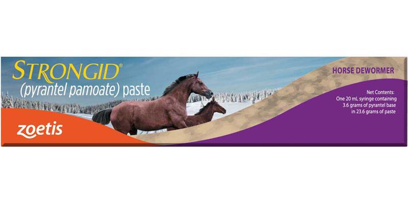 Strongid Pyrantel Pamoate Paste 20 mL for Equine - Riders Choice Supply Co