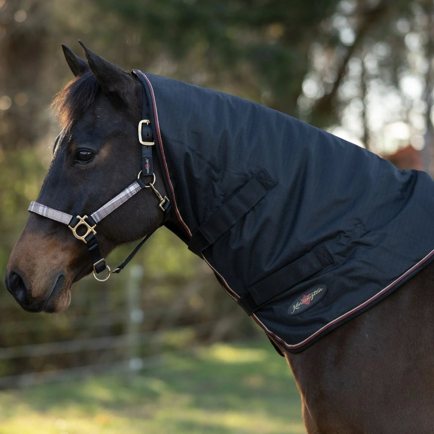 1200D Horse 180G Medium Weight Winter Neck Warmer - Waterproof & Breathable - Riders Choice Supply Co