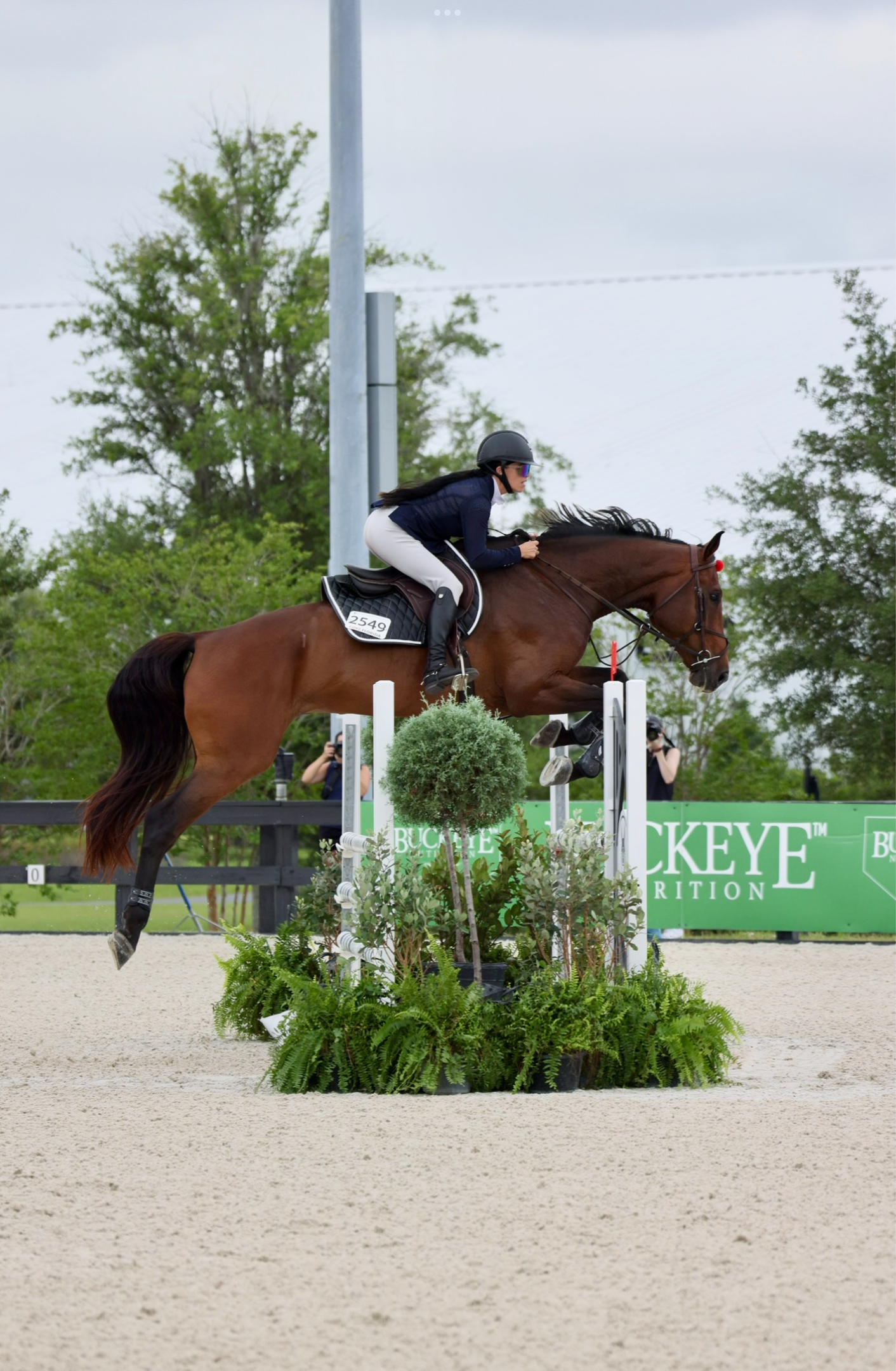 Saddle Pad | Black - Riders Choice Supply Co