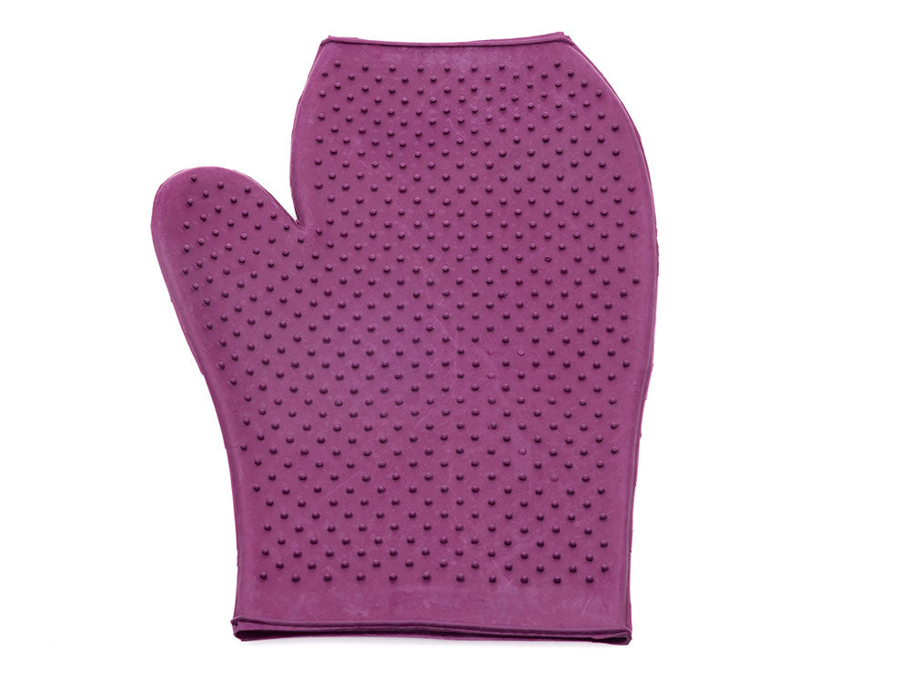 Horse Grooming Mitt