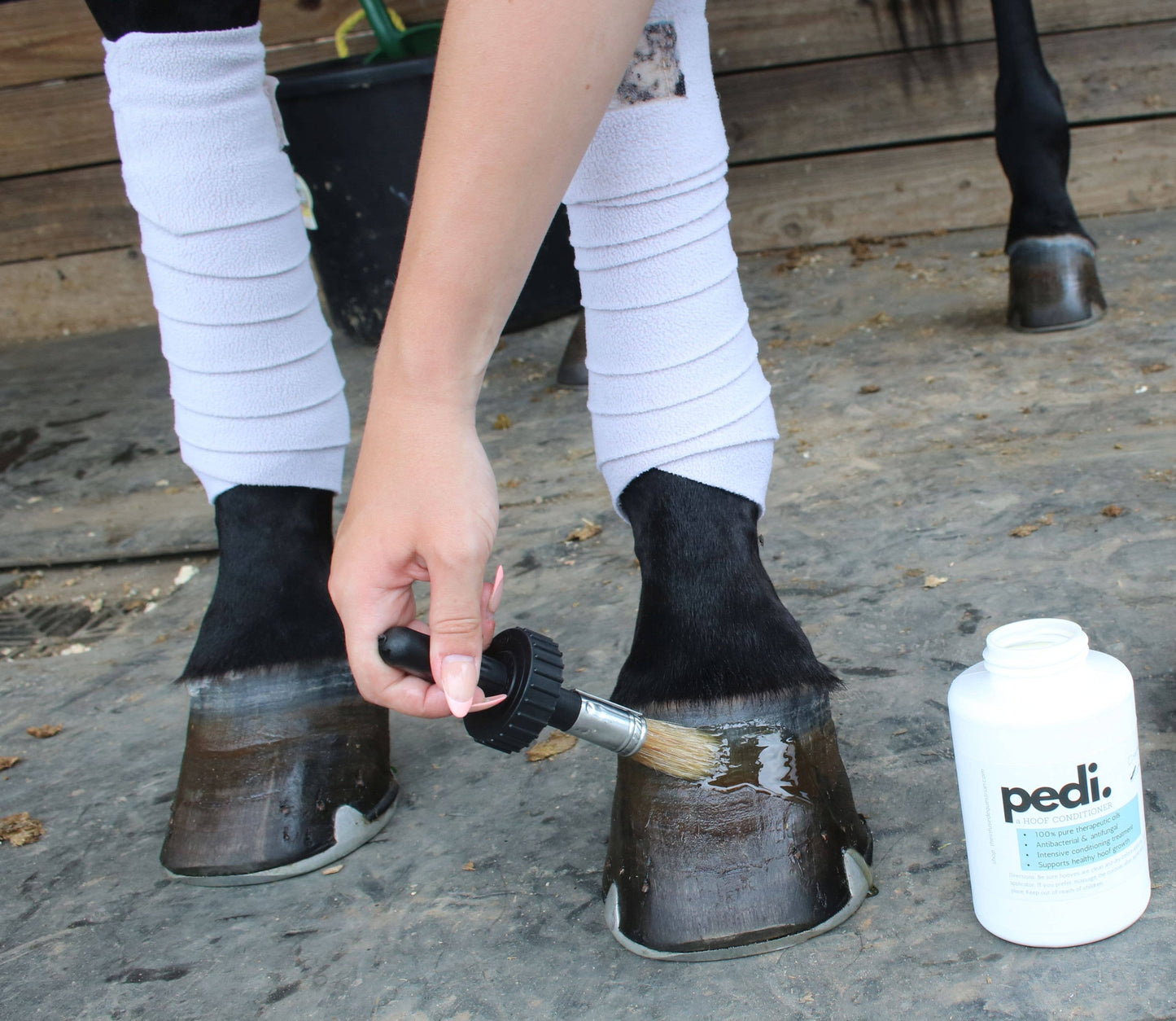 Pedi. A Hoof Conditioner (half pint/pint) - Riders Choice Supply Co