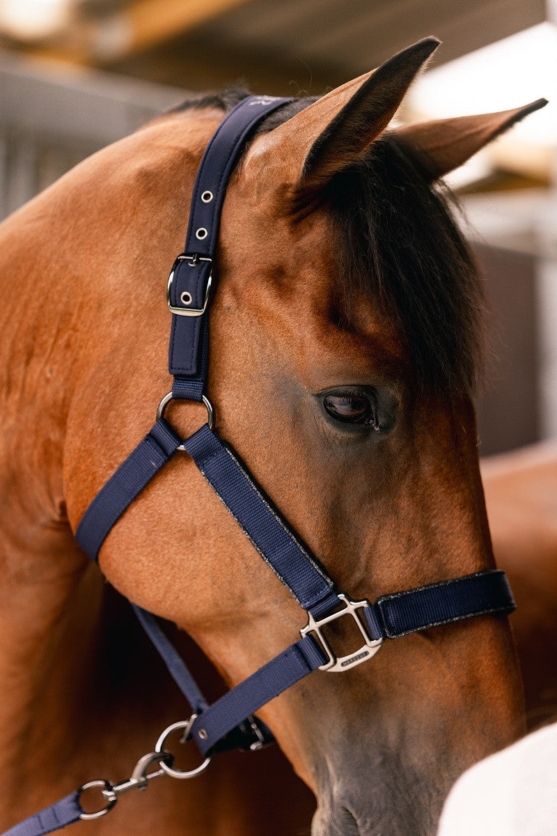 Hansey Horse Halter with Lead Rope - Riders Choice Supply Co