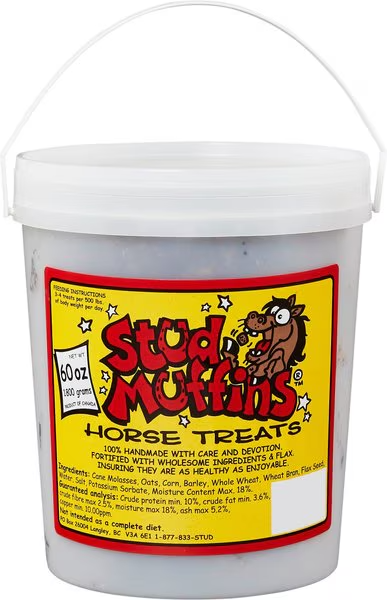 Stud Muffins Molasses Horse Treats - Riders Choice Supply Co