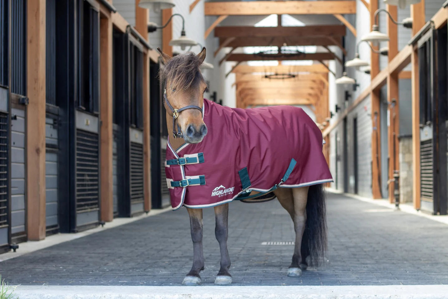 Shires Mini Highlander Blanket Maroon 200g 48" - Riders Choice Supply Co