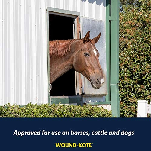 Farnam Wound-Kote Spray 7 OZ Pack of 1 for Pets