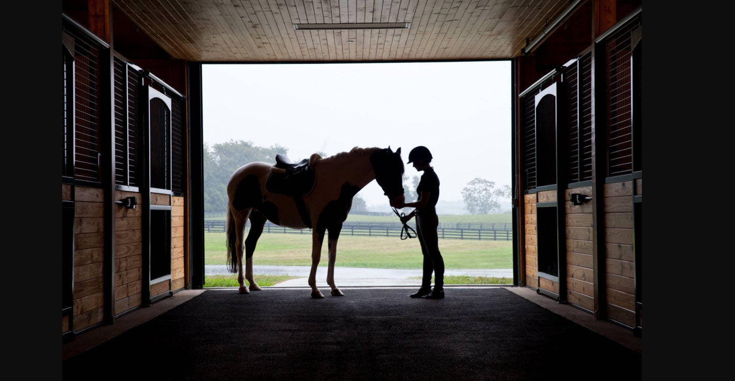 Recovery Roller Blend (10ml)