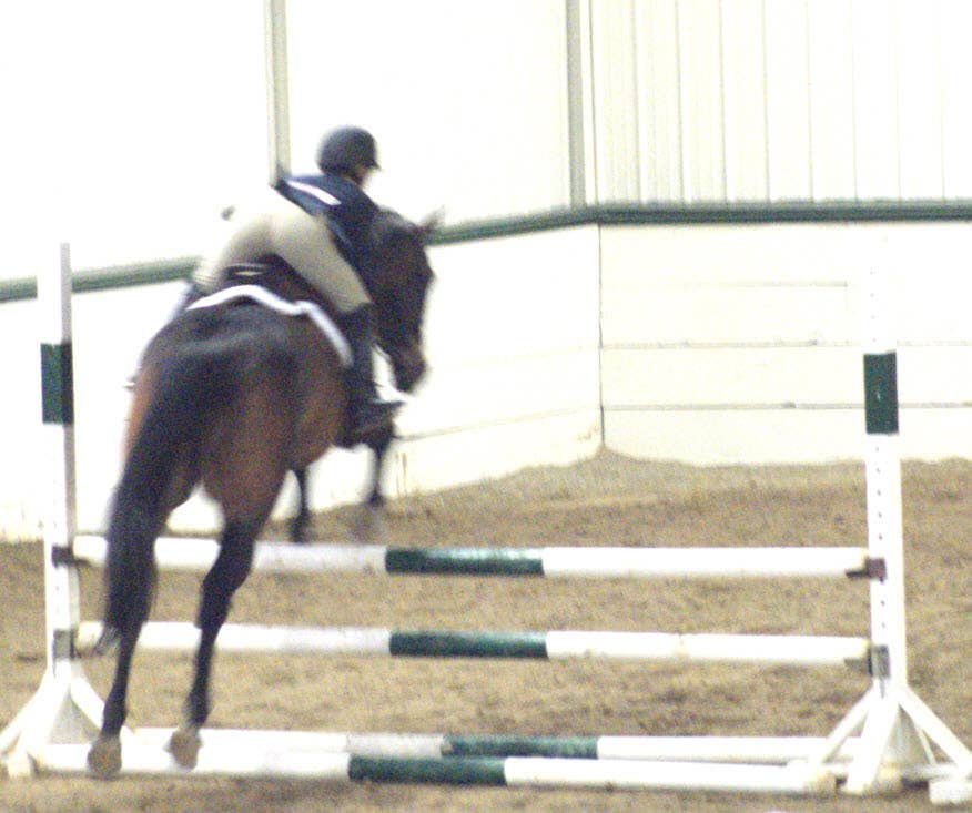 Recovery Roller Blend (10ml)