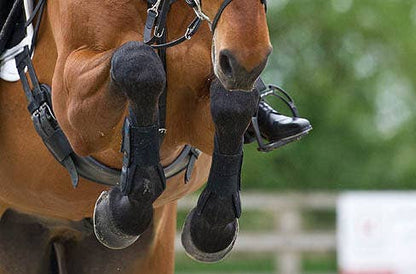 Recovery Roller Blend (10ml)