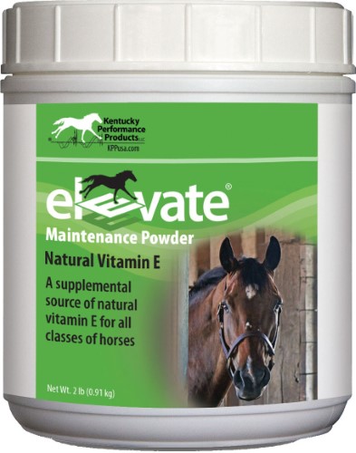 Kentucky Performance Products Elevate Maintenance Powder 2 lbs - Riders Choice Supply Co