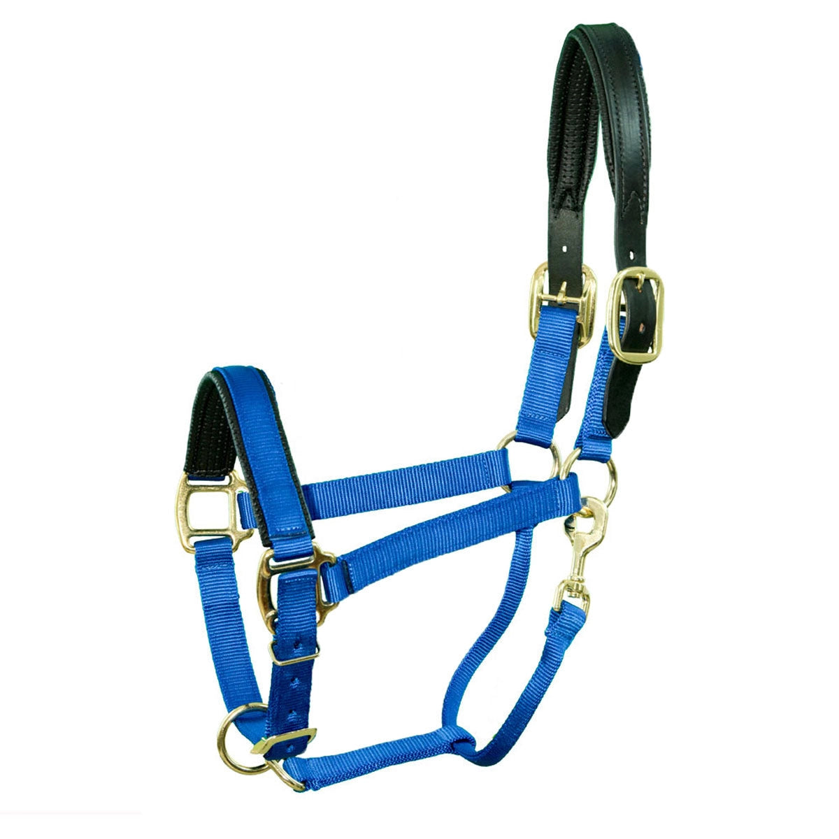 Padded Breakaway Halter for Mini
