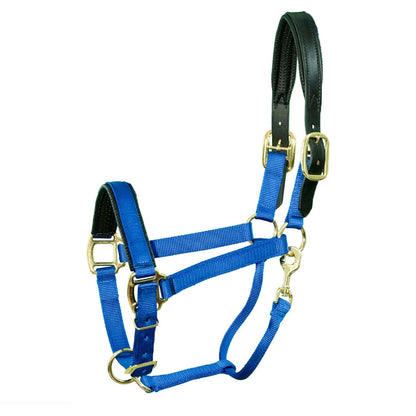 Padded Breakaway Halter for Mini