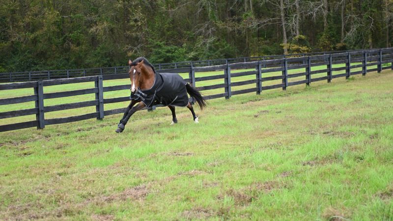 Gatsby Premium 1200D Waterproof Turnout Sheet Size 72 - Riders Choice Supply Co