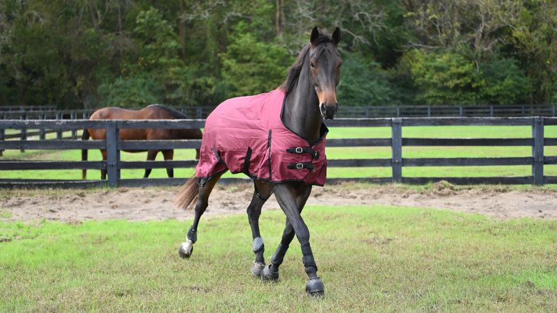 Gatsby Heavyweight Waterproof Turnout Blanket 1200D Size 78 - Riders Choice Supply Co
