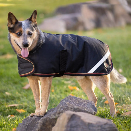 Winter Dog Coat - 180G Medium Weight - Waterproof & Breathable - Riders Choice Supply Co