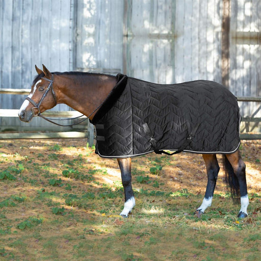 Equinavia Luksus Premium Cooler 200g 80" - Riders Choice Supply Co