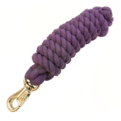 Intrepid International Poly Web Lead, 6', Purple