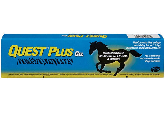 Zoetis Questplus (moxidectin/praziquantel) Horse Dewormer - Riders Choice Supply Co