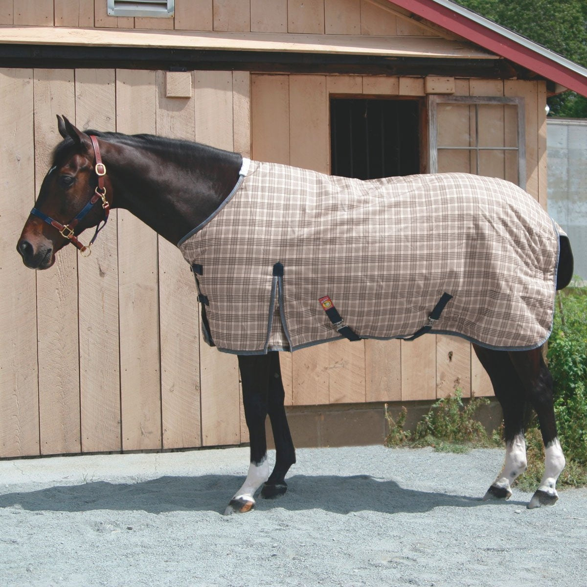 5/A Baker® Medium Weight Turnout Blanket 200 Gram 82 Inches - Riders Choice Supply Co