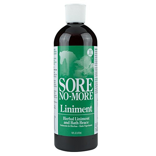Arenus Animal Health PerformanceSore No More Liniment 16oz - Riders Choice Supply Co