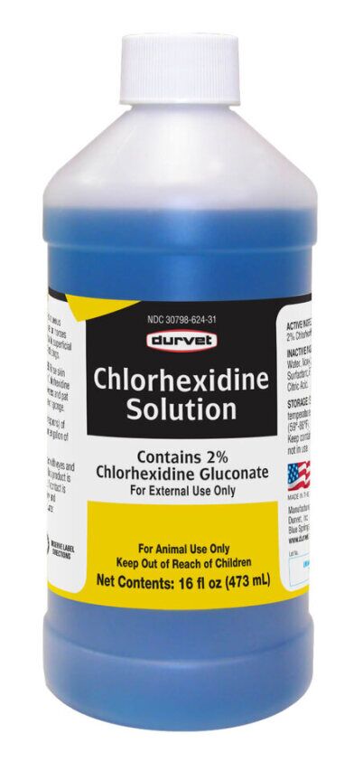 Durvet Chlorhexidine 2% Solution, 16 Fl. Oz Antiseptic