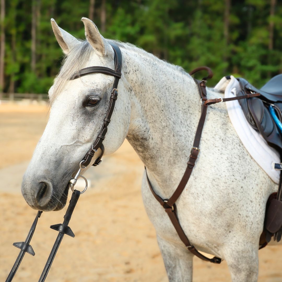 3-Point Breastplate with Double Neck Strap - Riders Choice Supply Co