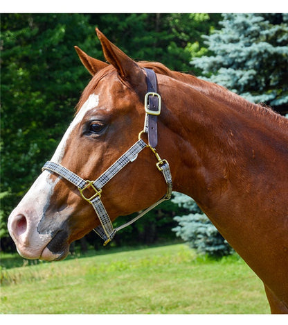 5/A Baker® Breakaway Nylon Halter with Full Leather Crown 1" - Riders Choice Supply Co