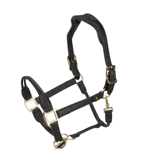 Shires Velociti Lusso Soria Leather Headcollar- Black Size Horse (Full)
