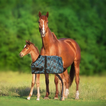1200D Adjustable Foal 180G Medium Weight Winter Turnout Blanket - Waterproof & Breathable - Riders Choice Supply Co