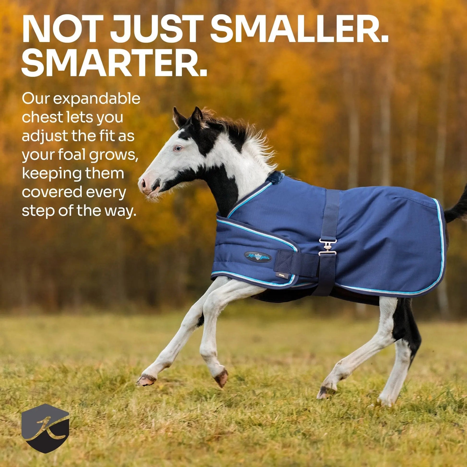 1200D Adjustable Foal 180G Medium Weight Winter Turnout Blanket - Waterproof & Breathable - Riders Choice Supply Co