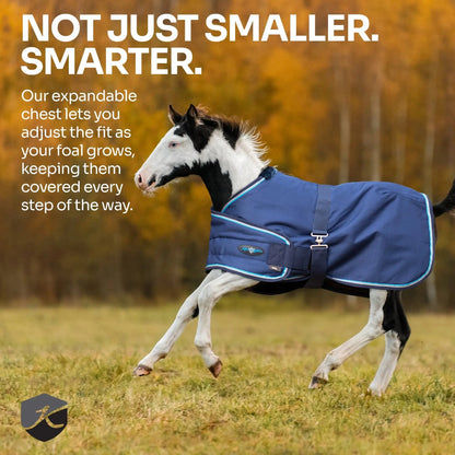 1200D Adjustable Foal 180G Medium Weight Winter Turnout Blanket - Waterproof & Breathable - Riders Choice Supply Co