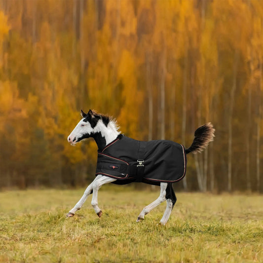 1200D Adjustable Foal 180G Medium Weight Winter Turnout Blanket - Waterproof & Breathable - Riders Choice Supply Co