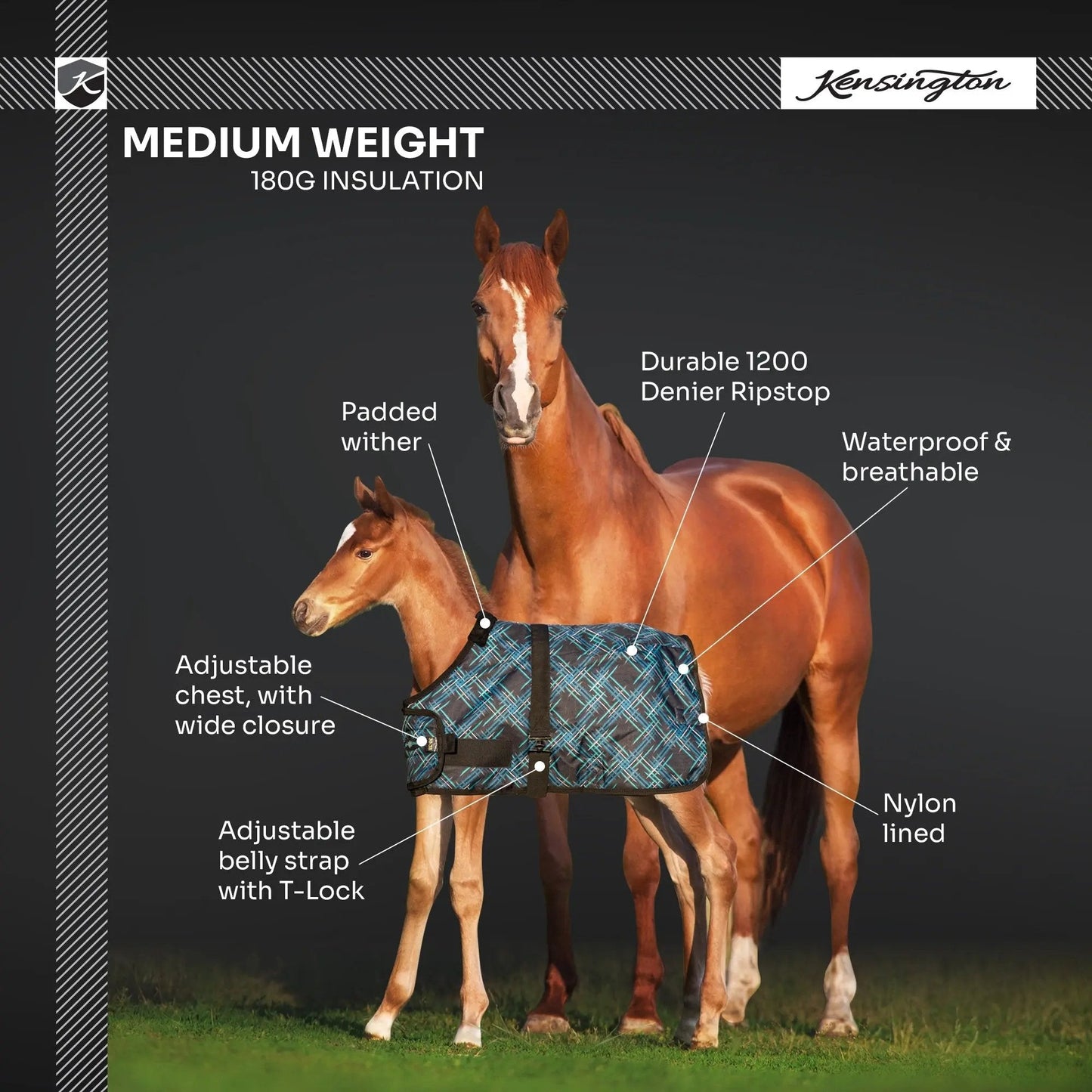 1200D Adjustable Foal 180G Medium Weight Winter Turnout Blanket - Waterproof & Breathable - Riders Choice Supply Co