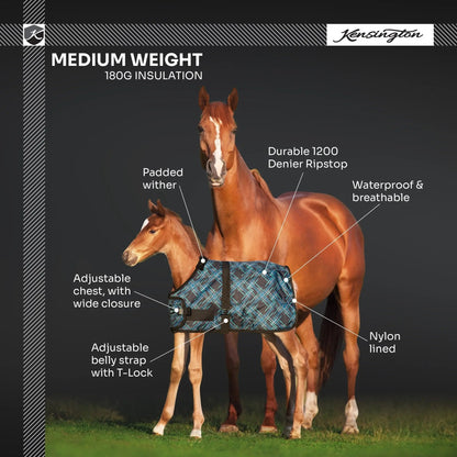 1200D Adjustable Foal 180G Medium Weight Winter Turnout Blanket - Waterproof & Breathable - Riders Choice Supply Co