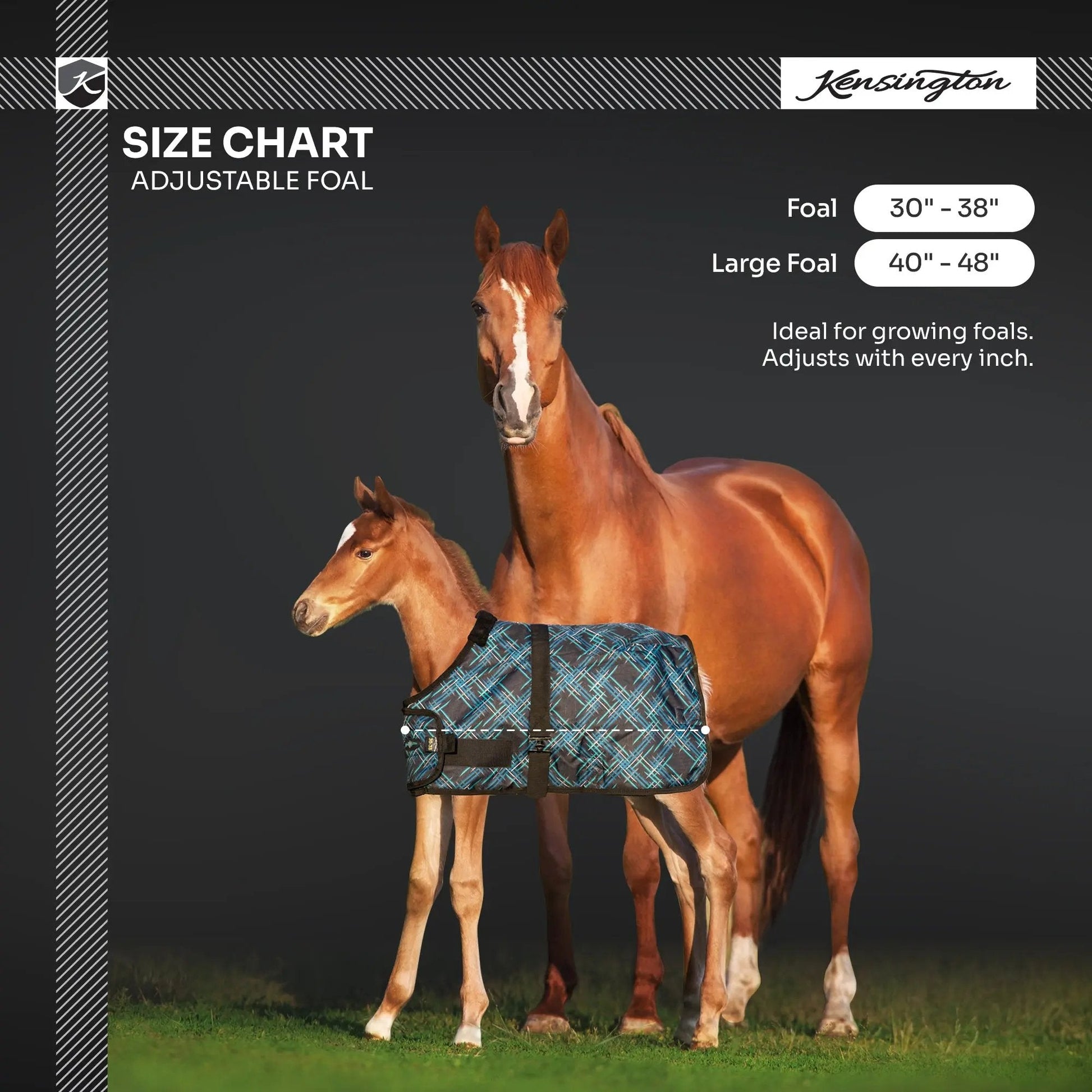 1200D Adjustable Foal 180G Medium Weight Winter Turnout Blanket - Waterproof & Breathable - Riders Choice Supply Co