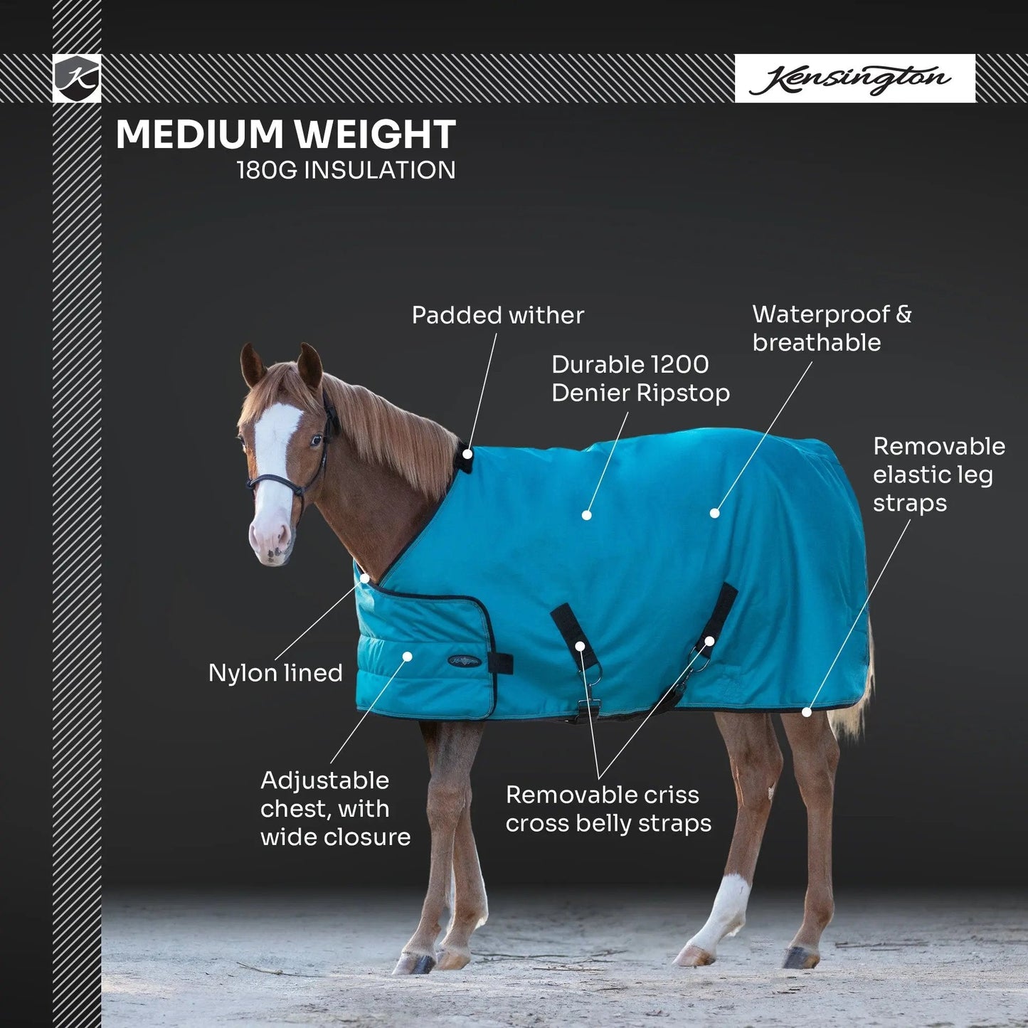 1200D Adjustable Juvenile 180G Medium Weight Winter Turnout Blanket - Waterproof & Breathable - Riders Choice Supply Co