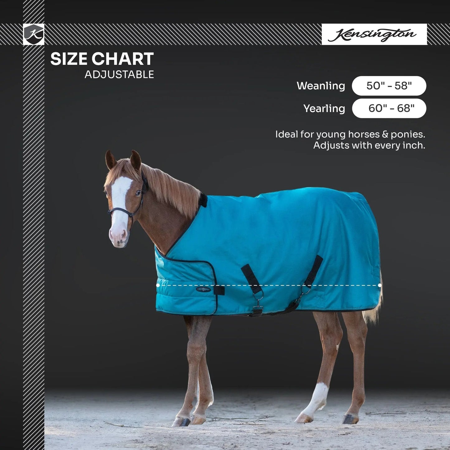 1200D Adjustable Weanling 180G Medium Weight Winter Turnout Blanket - Waterproof & Breathable - Riders Choice Supply Co