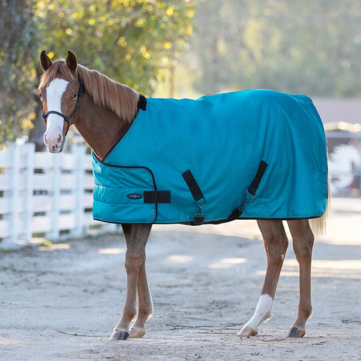 1200D Adjustable Weanling 180G Medium Weight Winter Turnout Blanket - Waterproof & Breathable - Riders Choice Supply Co
