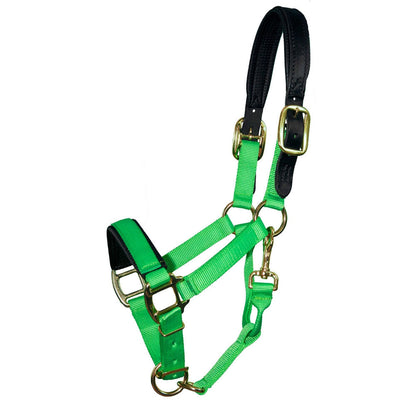 Padded Breakaway Halter for Mini