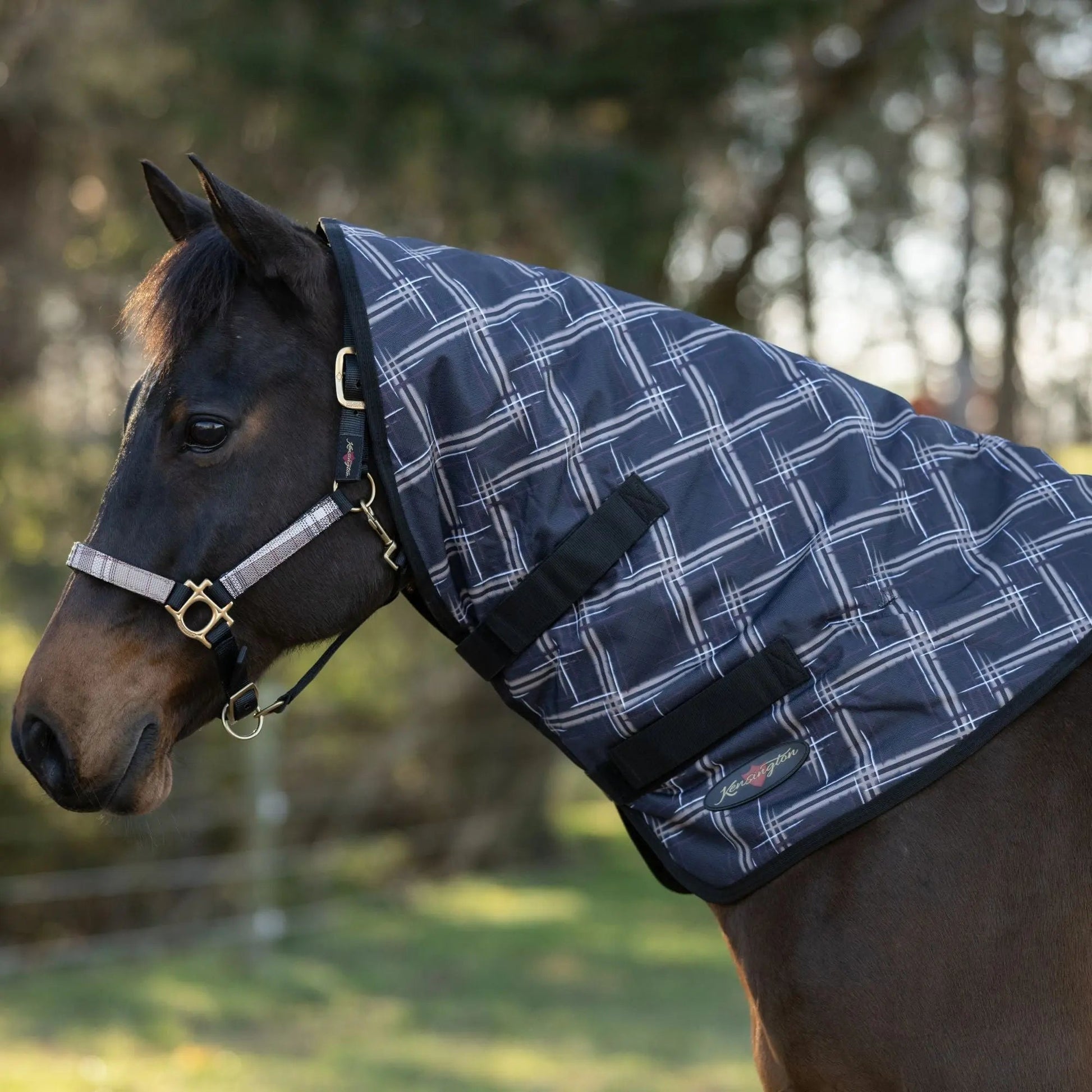 1200D Horse 180G Medium Weight Winter Neck Warmer - Waterproof & Breathable - Riders Choice Supply Co