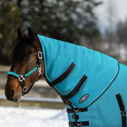 1200D Horse 180G Medium Weight Winter Neck Warmer - Waterproof & Breathable - Riders Choice Supply Co