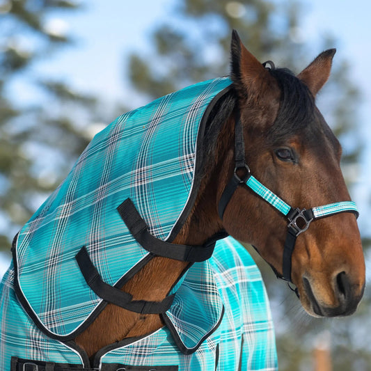 Supermesh® Horse Winter Neck Warmer - Waterproof & Breathable - Supremely Durable Textilene® - Multiple Weights - Riders Choice Supply Co
