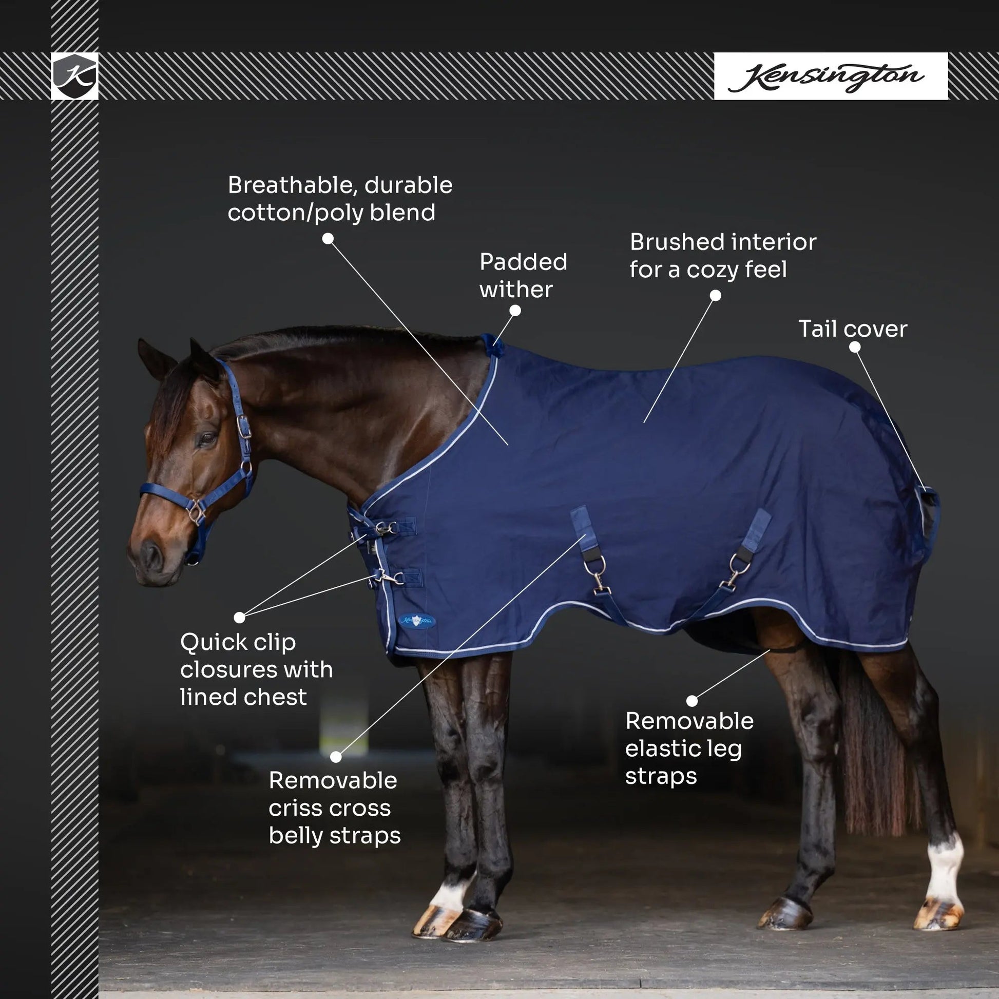 Horse Poly Cotton Day Sheet - Breathable Stable Sheet - Riders Choice Supply Co