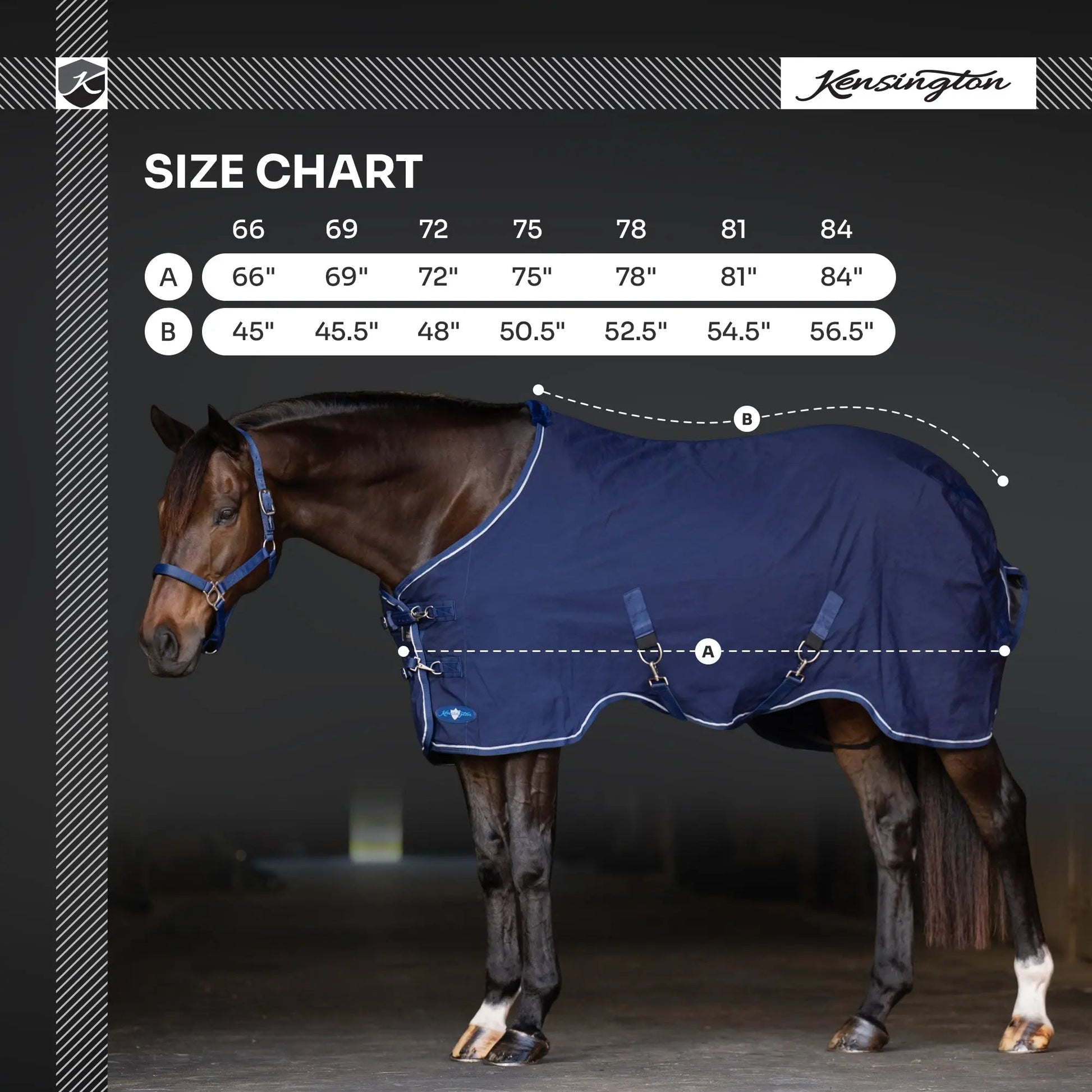 Horse Poly Cotton Day Sheet - Breathable Stable Sheet - Riders Choice Supply Co
