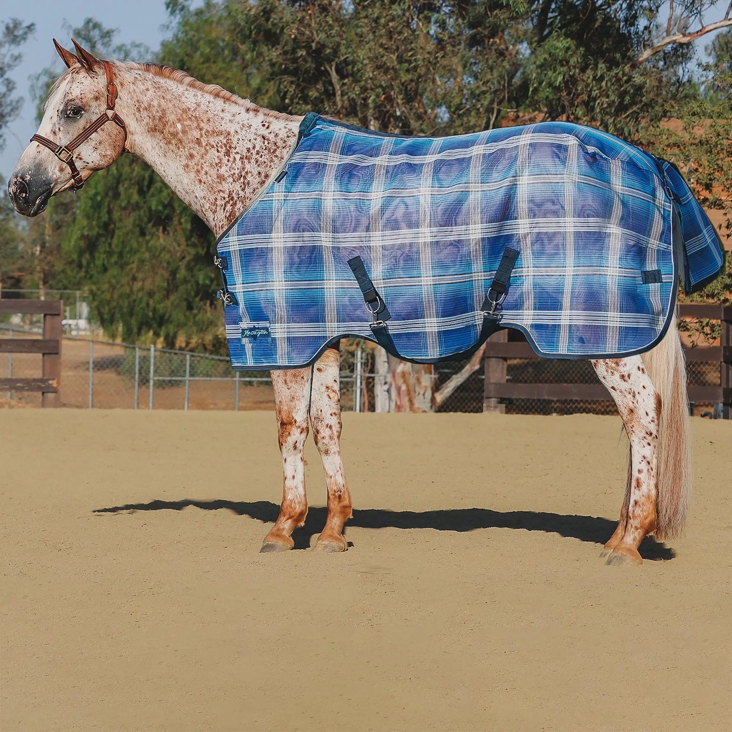 Horse Protective Fly Sheet  - 73% UV Protection - Riders Choice Supply Co