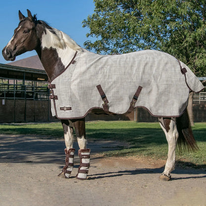 Horse Protective Fly Sheet  - 73% UV Protection - Riders Choice Supply Co