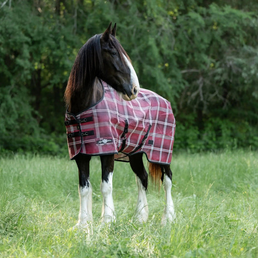 Draft Horse Protective Fly Sheet  - 73% UV Protection - Riders Choice Supply Co